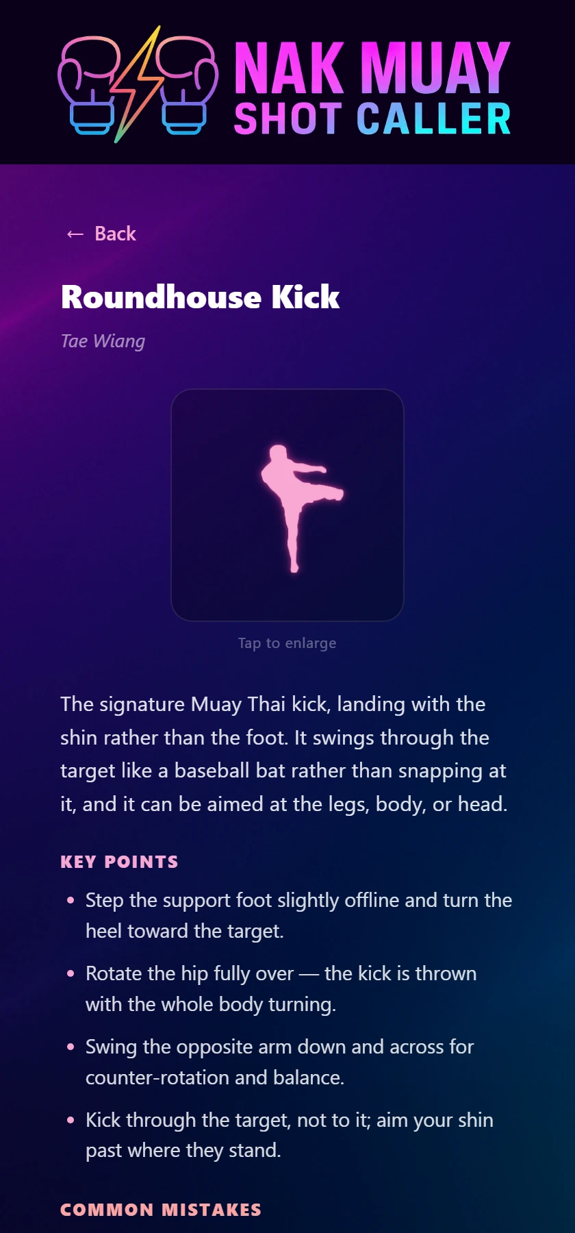 The Roundhouse Kick lesson page, showing the technique figure held at full extension above the written description and a Key Points list.